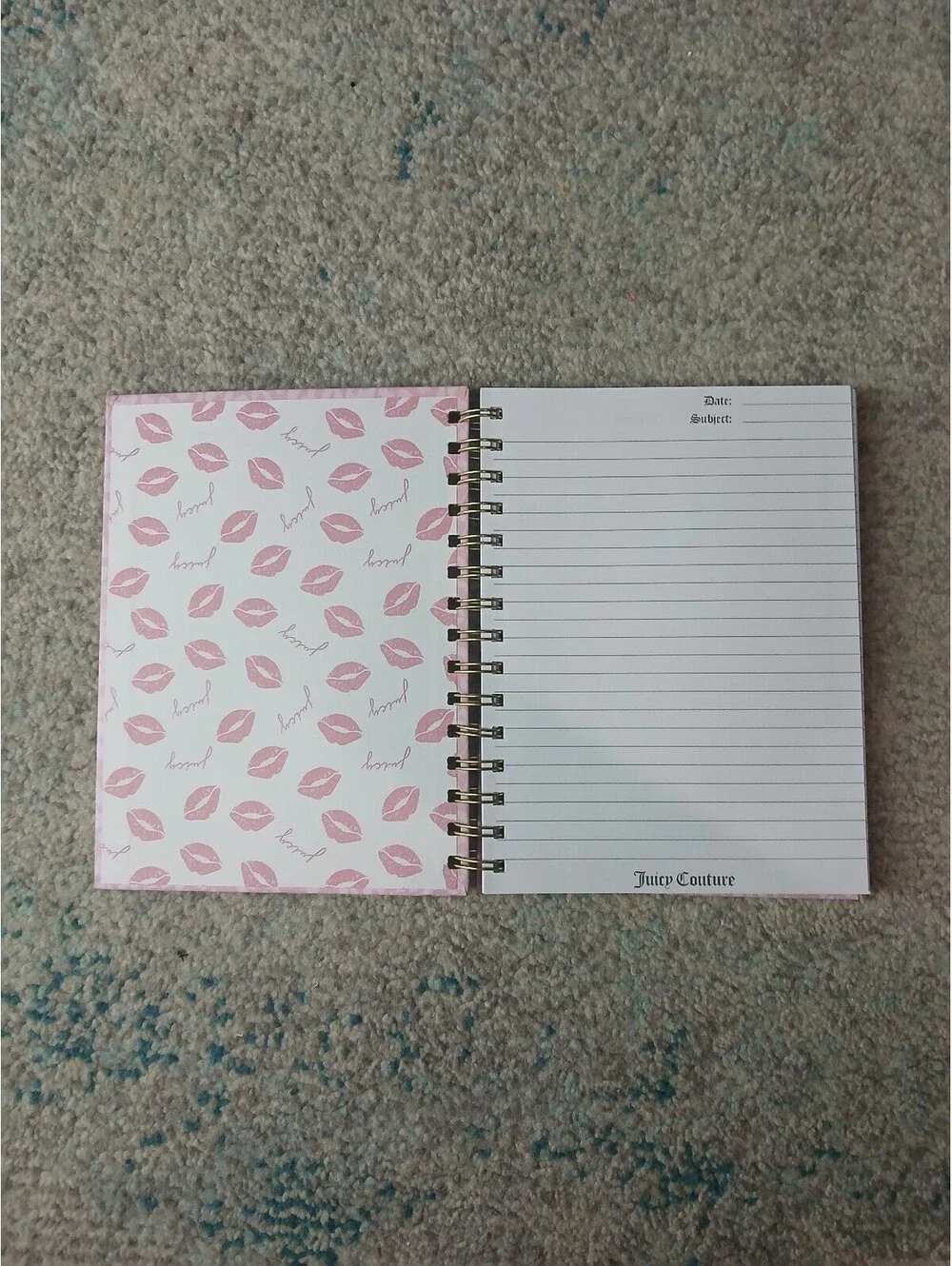 Juicy Couture Journal Pink Leopard Print List of Things I Was Right About NWT